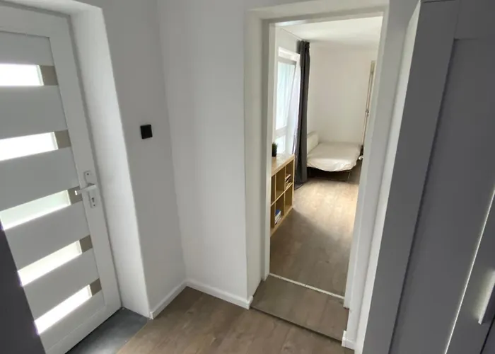 Benjamin בודפשט