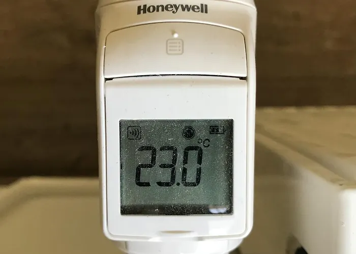 Benjamin * בודפשט